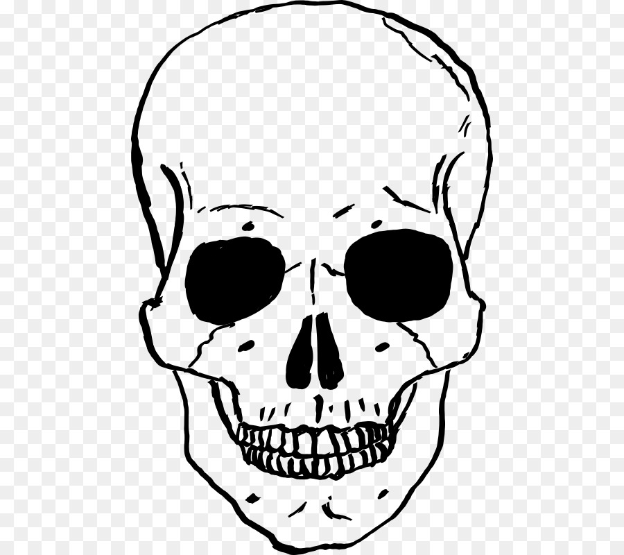 Cranio Clip art - pirati