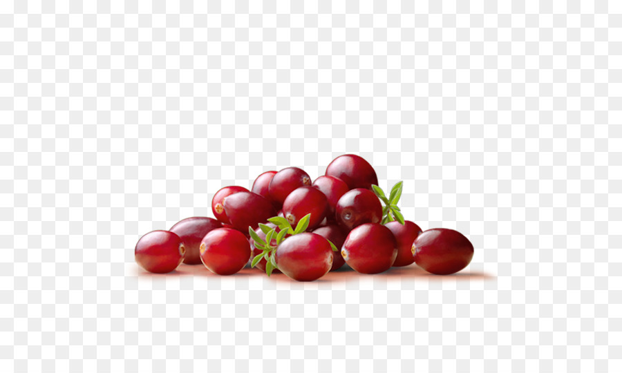 Cranberry-Saft, Getrocknete cranberry Heidelbeere - Tropische Früchte