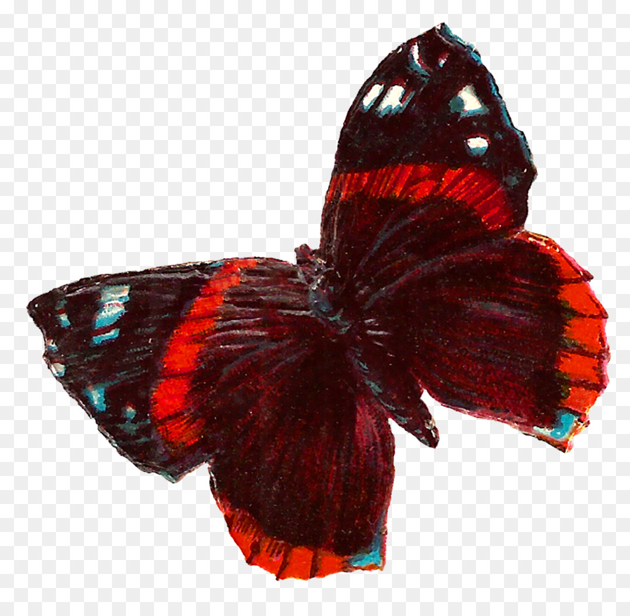 Bướm Côn trùng Clip nghệ thuật - bướm màu đỏ