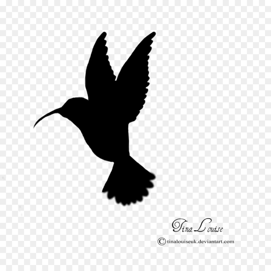 Kolibri Silhouette Clip art - Kolibri