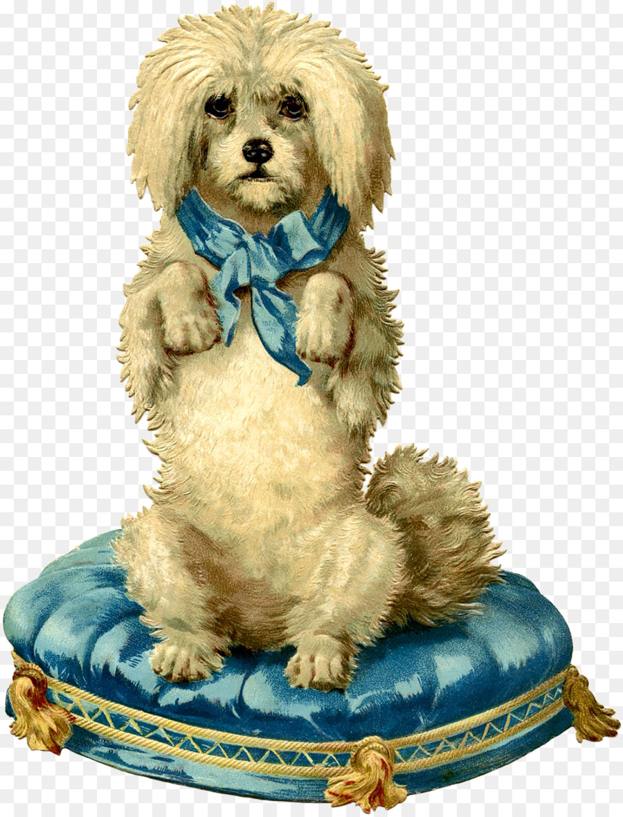 Frankreich Hund Gruß & Grußkarten Englisch - Pudel