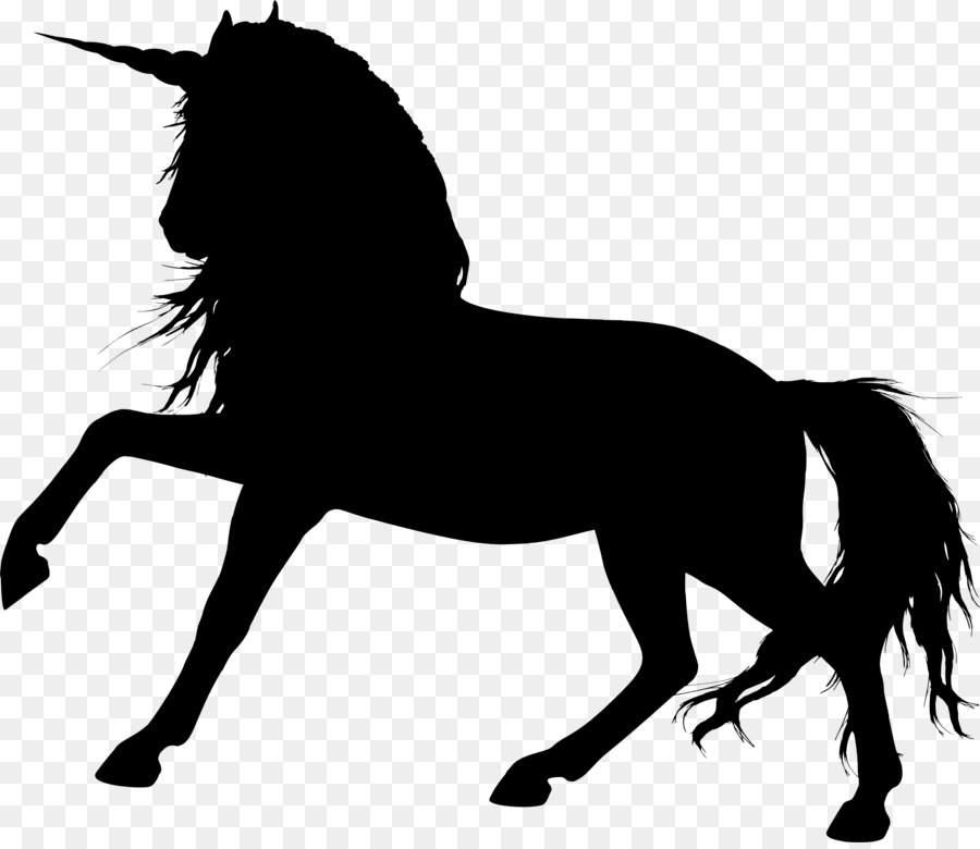 Arabian horse Hengstfohlen Clip-art - unicornio