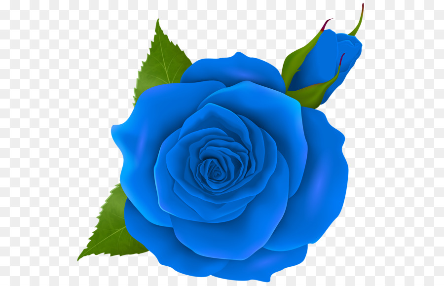 ClipArt fiore rosa blu - Rosa blu
