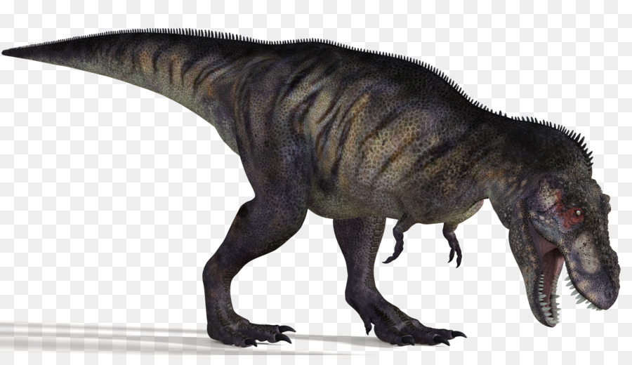 Albertosaurus Bistahieversor Strano Battle Royale 3D Super ball DZ Edmontosaurus - tirannosauro