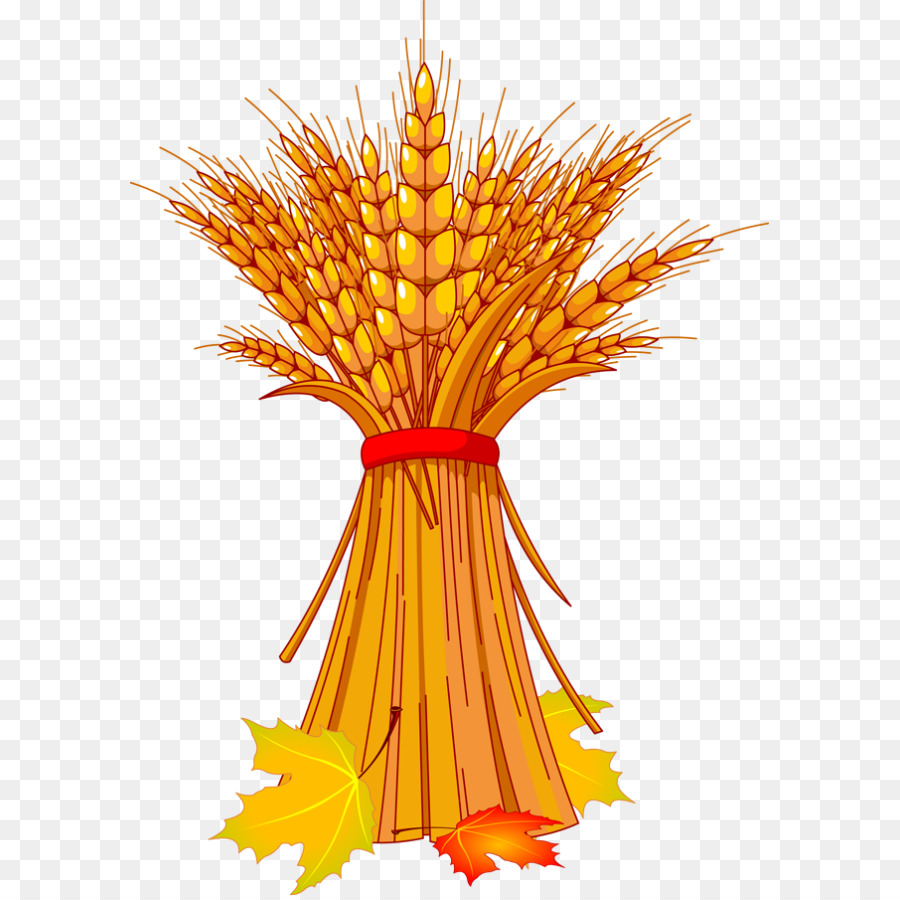 Erntefest im Herbst Clip art - Weizen Fealds