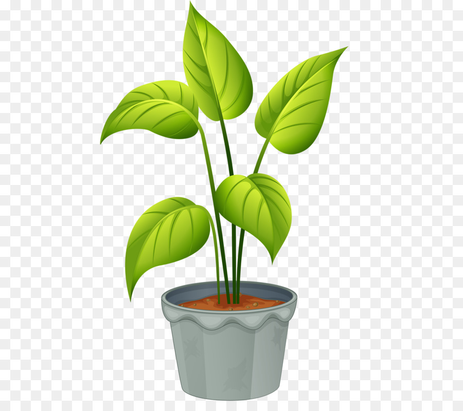 Blühende pflanze clipart - topfpflanze