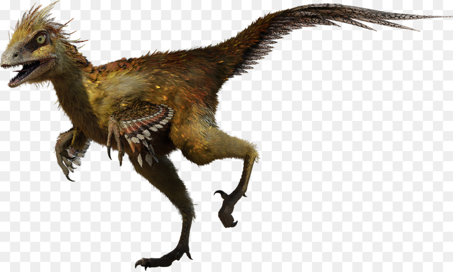 Hesperonychus Tyrannosaurus Velociraptor Bambiraptor Archaeopteryx - Dino