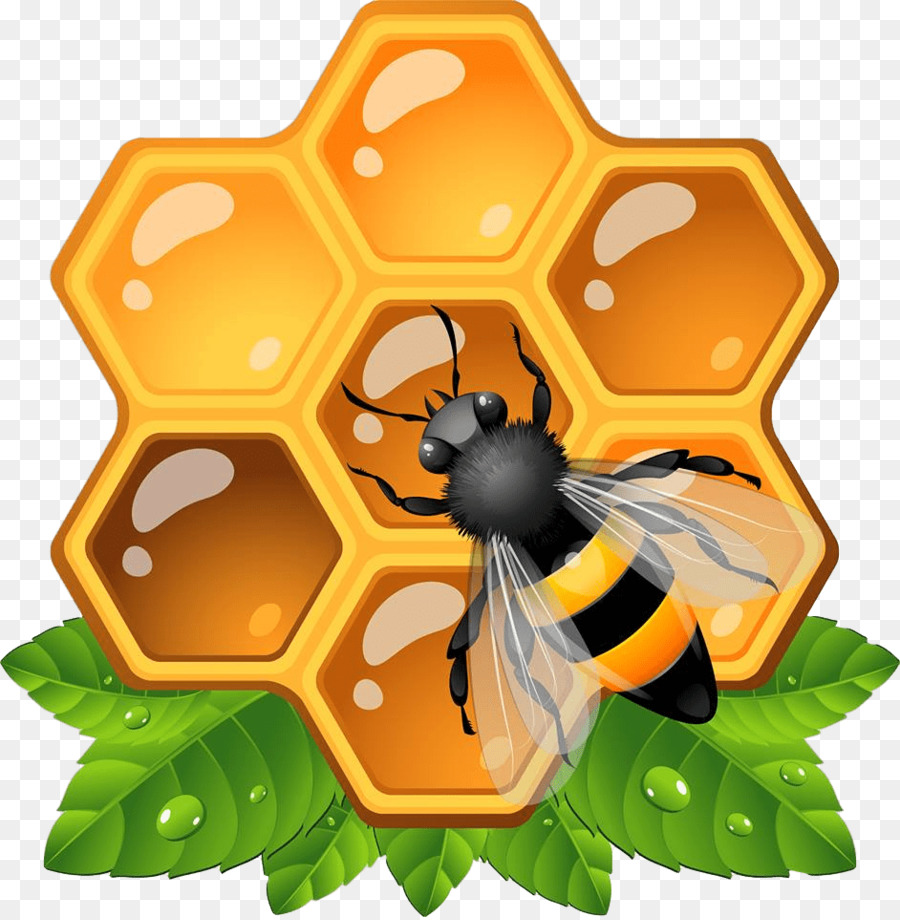 Mật ong Côn trùng tổ Ong Clip nghệ thuật - tổ ong