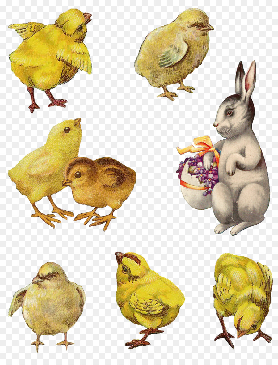 Pasqua Collage Cardmaking Clip art - acquerello di coniglio