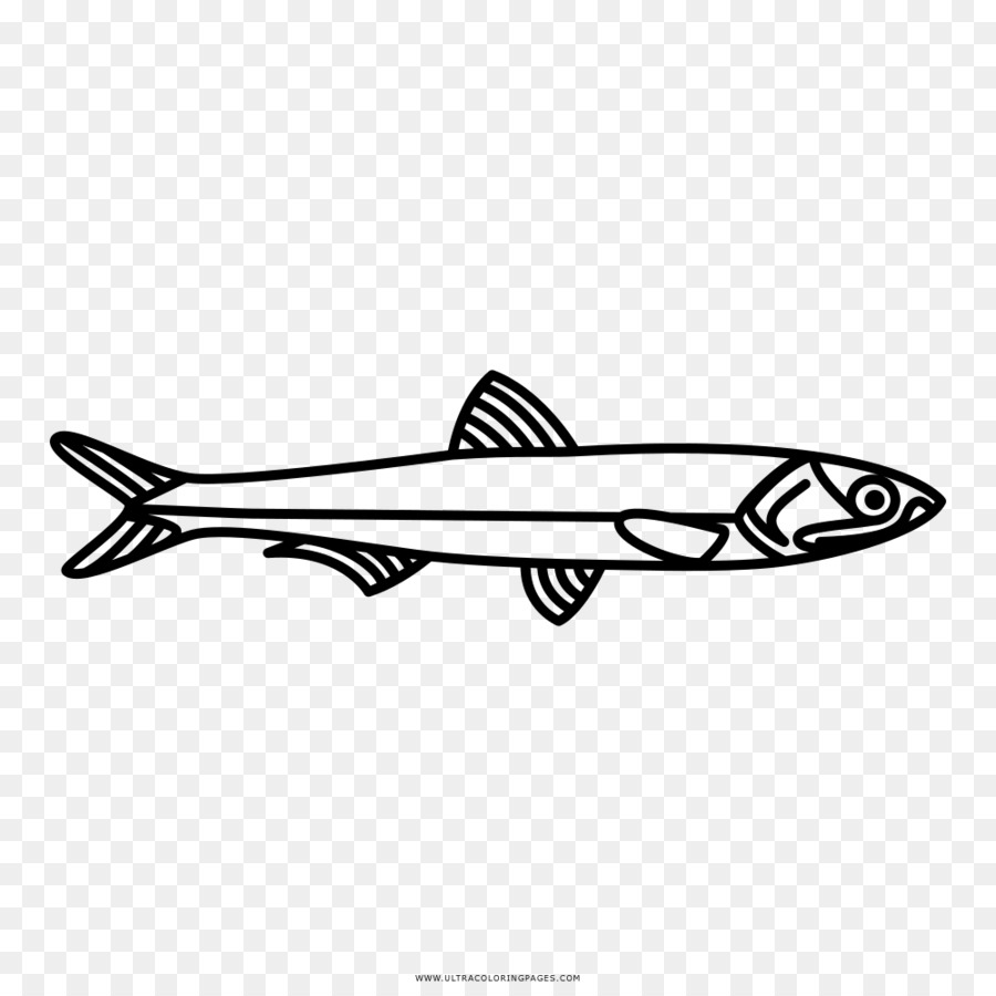 Sardellen Fisch-Zeichnung japanische Sardelle - Sardellen