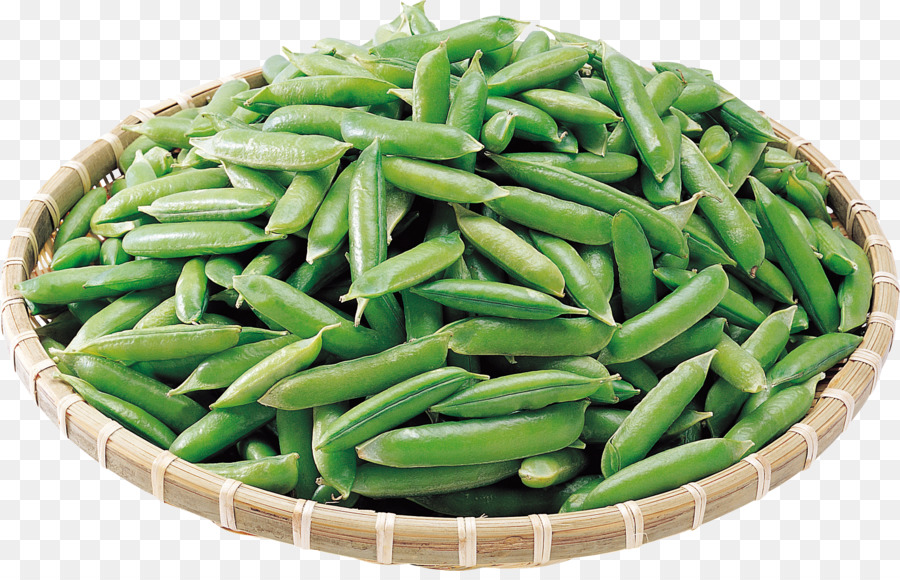 Common Bean Pea Lima Bohnen-Vegetarische Küche-Gemüse - Bohnen