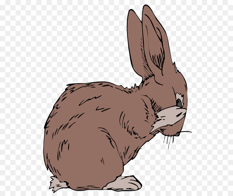 Lepre artica coniglio The Velveteen Rabbit Animale - collegamento