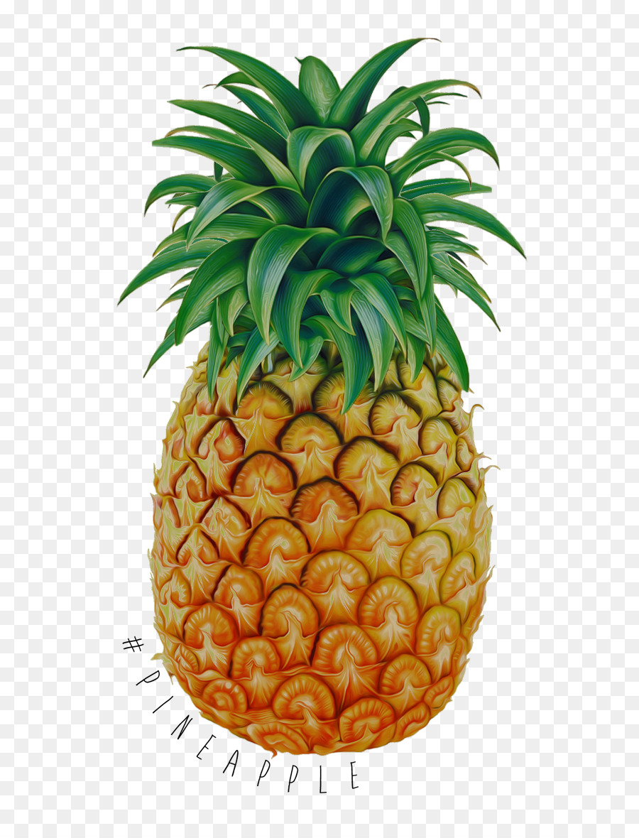 Tropische Früchte Ananas Zeichnung - Ananas