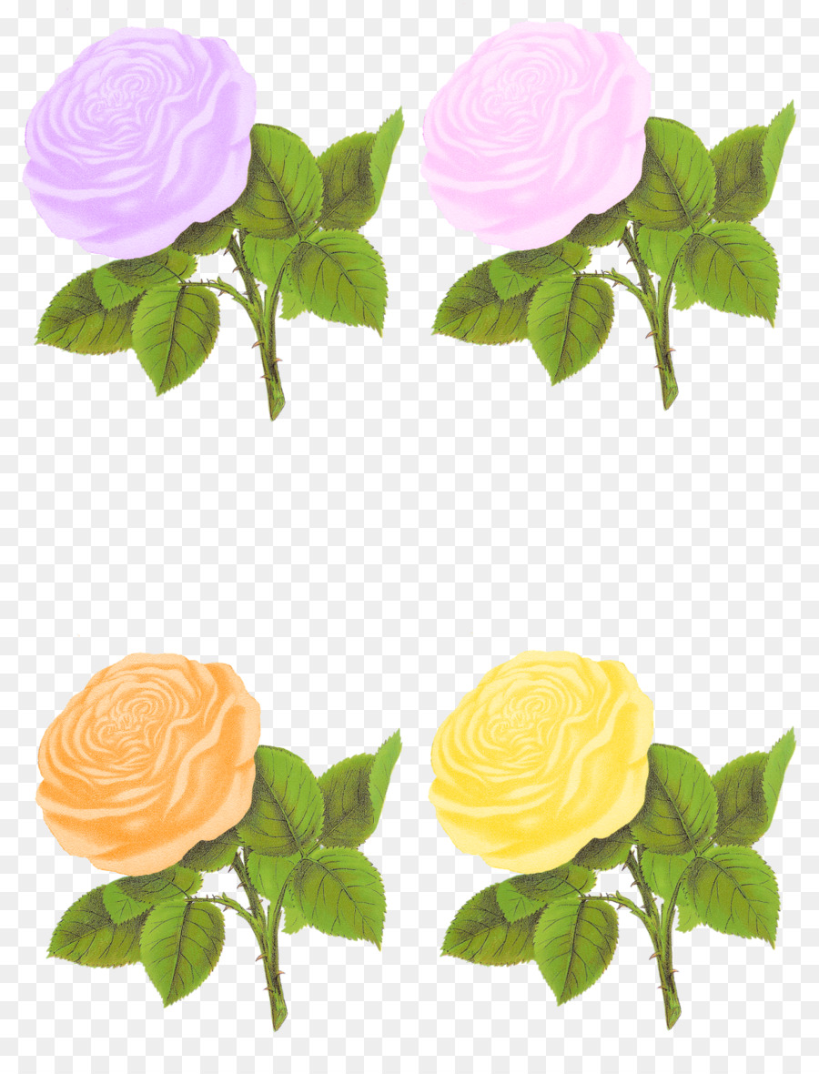 Blume Rose Clip art - Pastell Blume