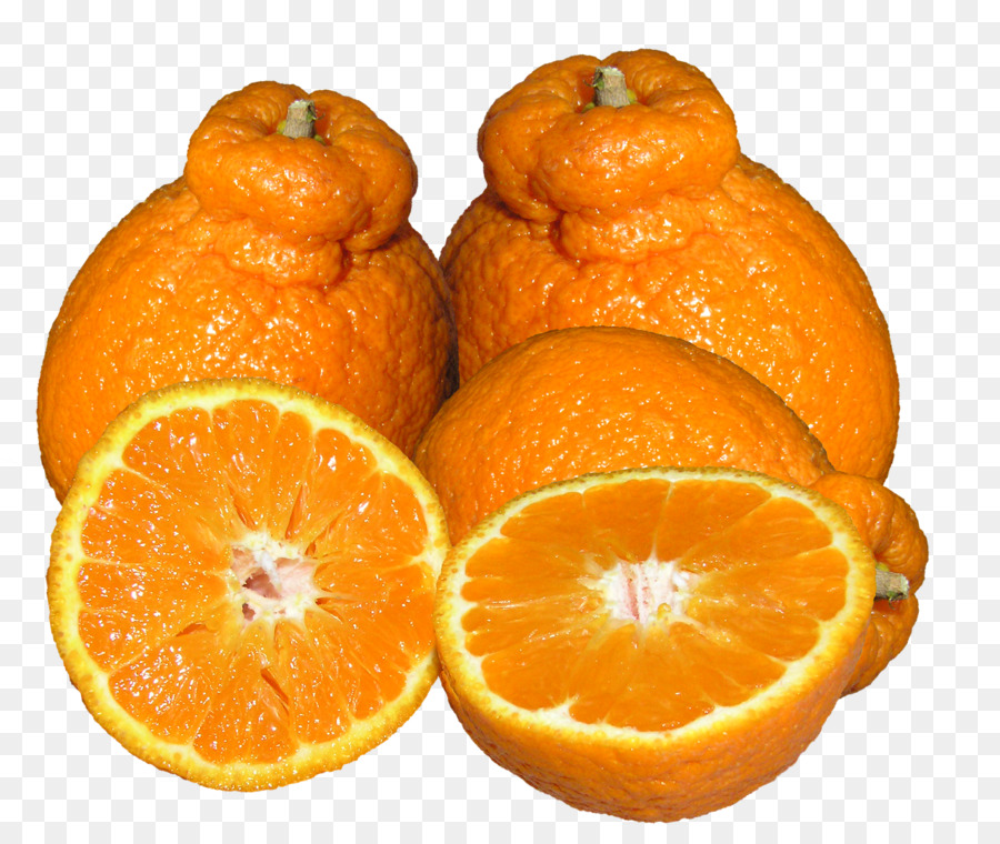 D ' Angelo Rangpur mandarin orange, Mandarine, Clementine. - Zitrus
