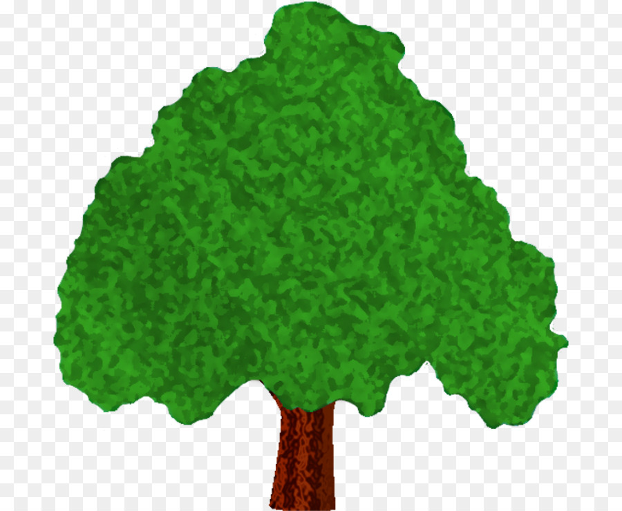 Cây Woody cây Thông Rose - xanh lá cây