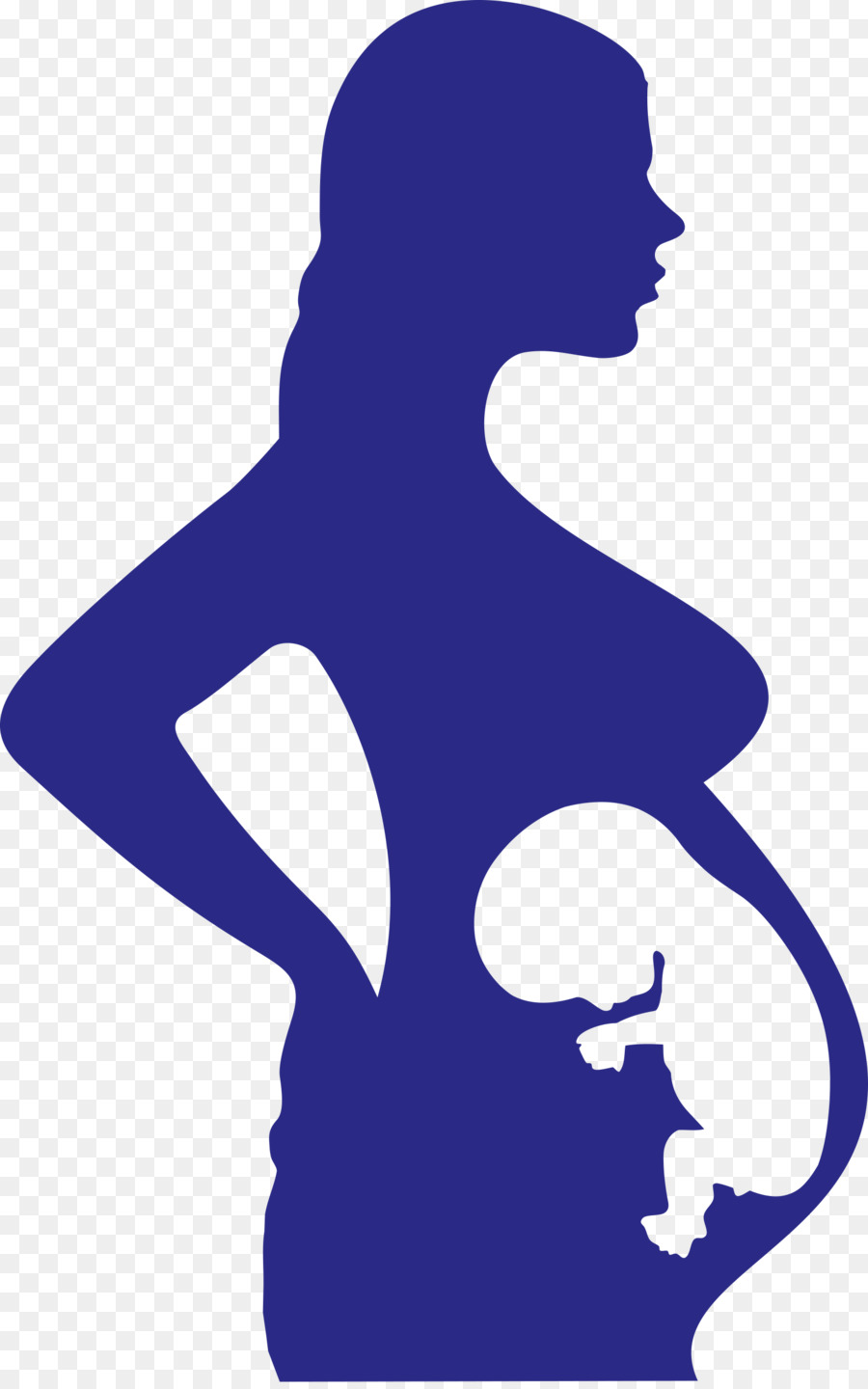 Pregnancy Cartoon png download - 1613*2569 - Free Transparent Pregnancy png  Download. - CleanPNG / KissPNG