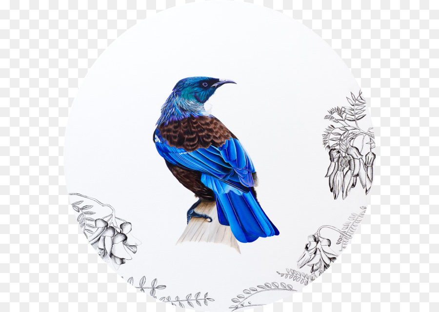New Zealand Bird Papier, Druckgrafik Kunst - Vogel Aquarell
