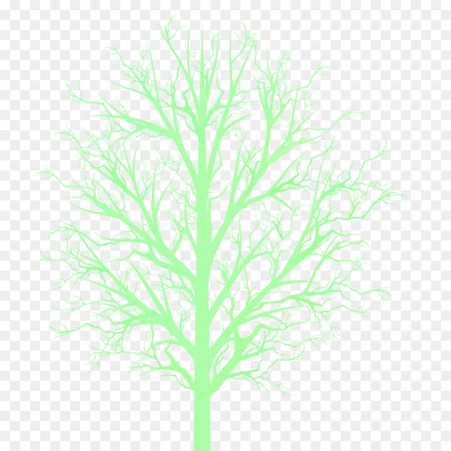 Ramo di albero di piante Legnose staminali Vegetali - ramo di albero