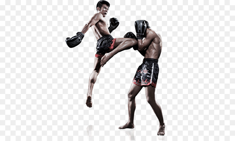 Muay Thai Kickboxing arti marziali Miste - la lotta