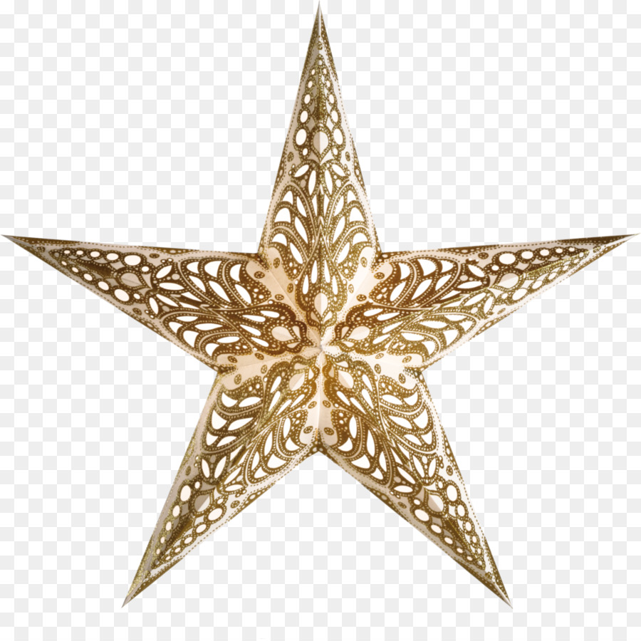 Carta Di Natale Poinsettia - stelle d'oro