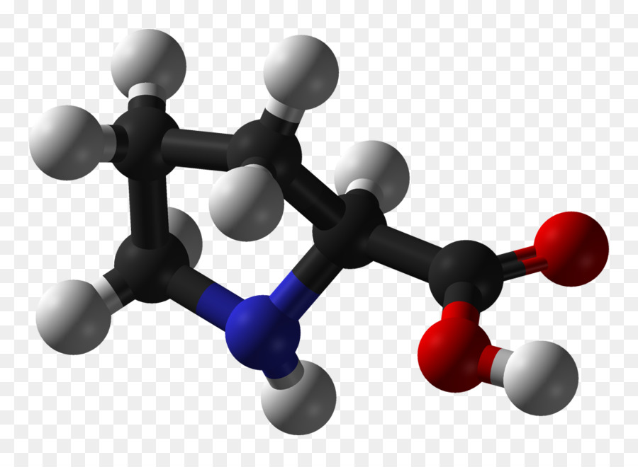 Prolin Aminosäure-Carbonsäure-Amin-Protein - L