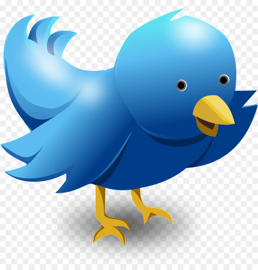 Social media Logo Icone del Computer - Uccello Cartoon
