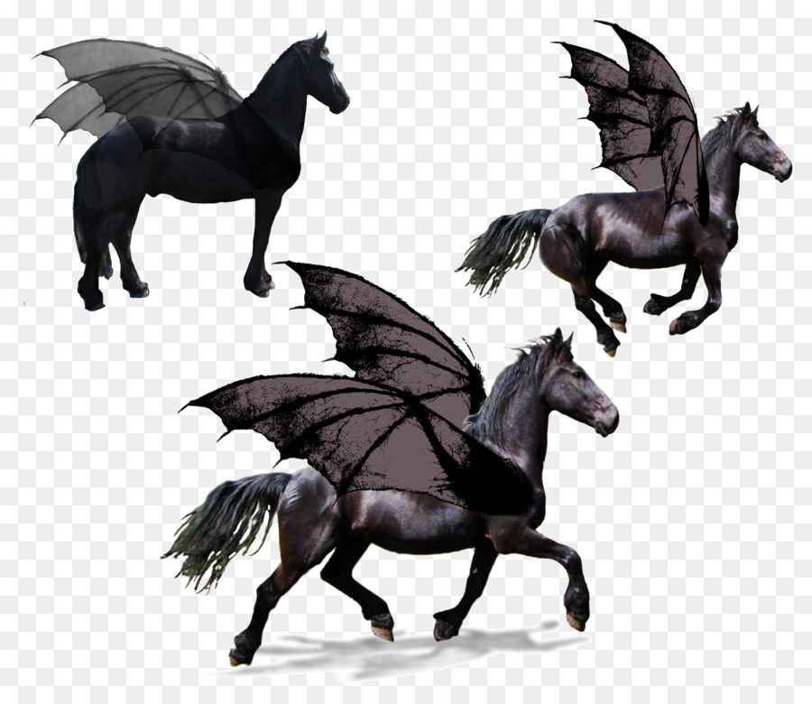 Standardbred Frisone cavallo Trotto Equestre Pegaso - Pegasus
