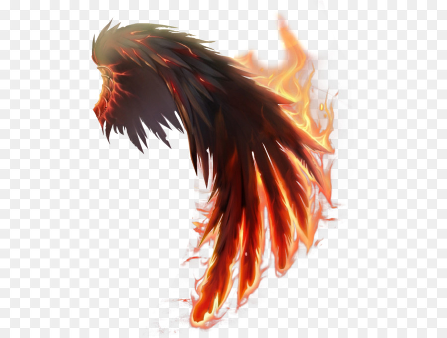 Wings Of Fire img
