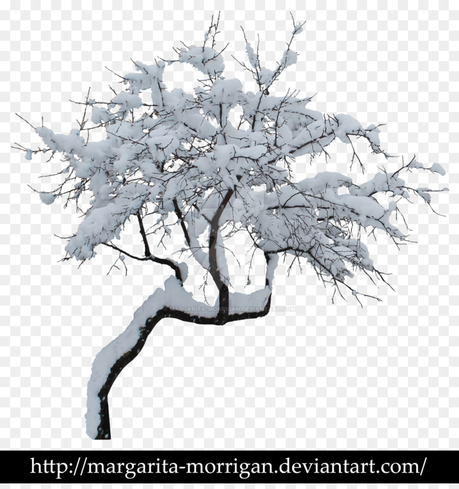 Baum, Winter, Zweig,   clipart - Schnee Baum