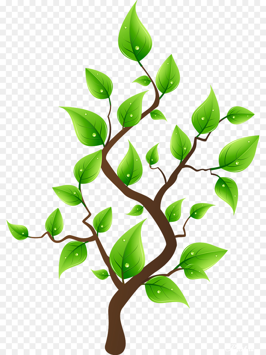 Cây trồng Vẽ Clip nghệ thuật - chi nhánh cây