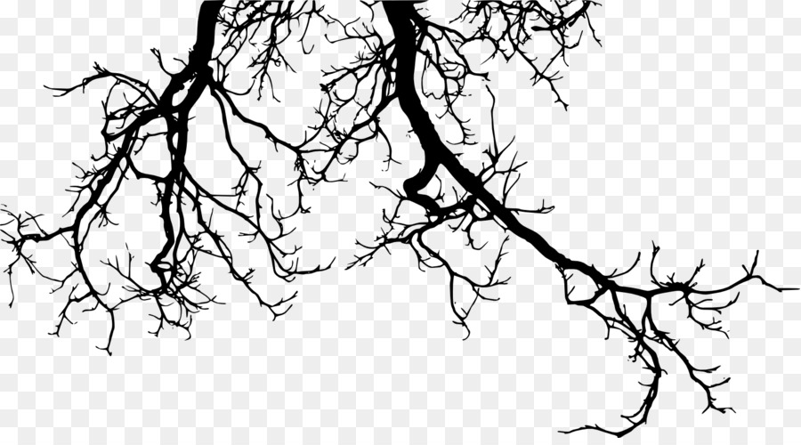 Ramo Di Albero Di Twig - ramo di albero