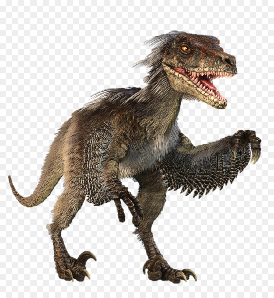 Velociraptor Tyrannosaurus Triceratops Giganotosaurus Camarasauro - reale