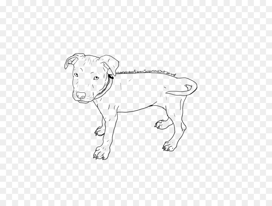 American Pit Bull Terrier, American Staffordshire Terrier, Bulldog Staffordshire Bull Terrier - Pitbull