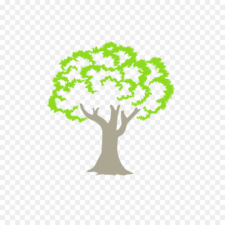 Baum-Logo Woody pflanze Anacardiaceae Zweig - grüner Baum
