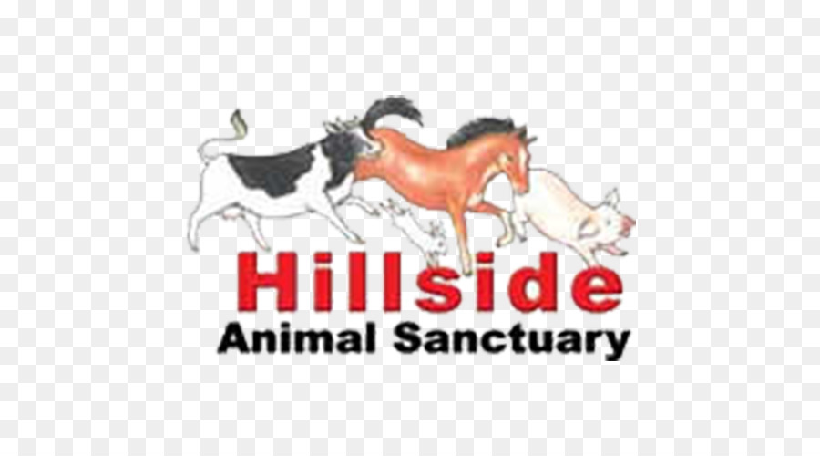 Norwich West Runton Frettenham Hillside Animal Sanctuary Cavallo - energia elettrica
