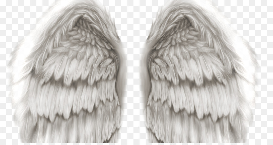 Angel Wing Clip Art - Nein. 1