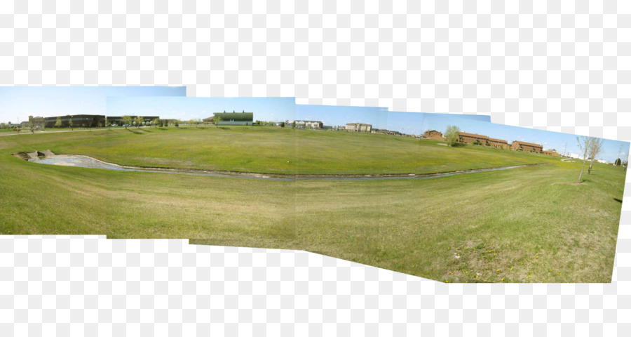 Đồng cỏ sân Golf phong Cảnh bãi Cỏ đồng Cỏ - bức tranh toàn cảnh