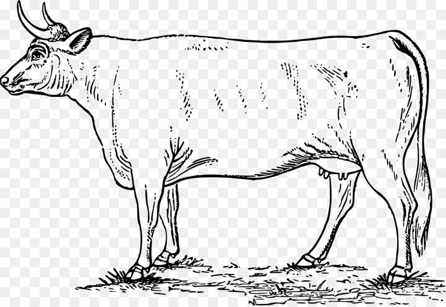 Ayrshire-Vieh-Schaf-Ziege-Rind Milchkühe - Kuh