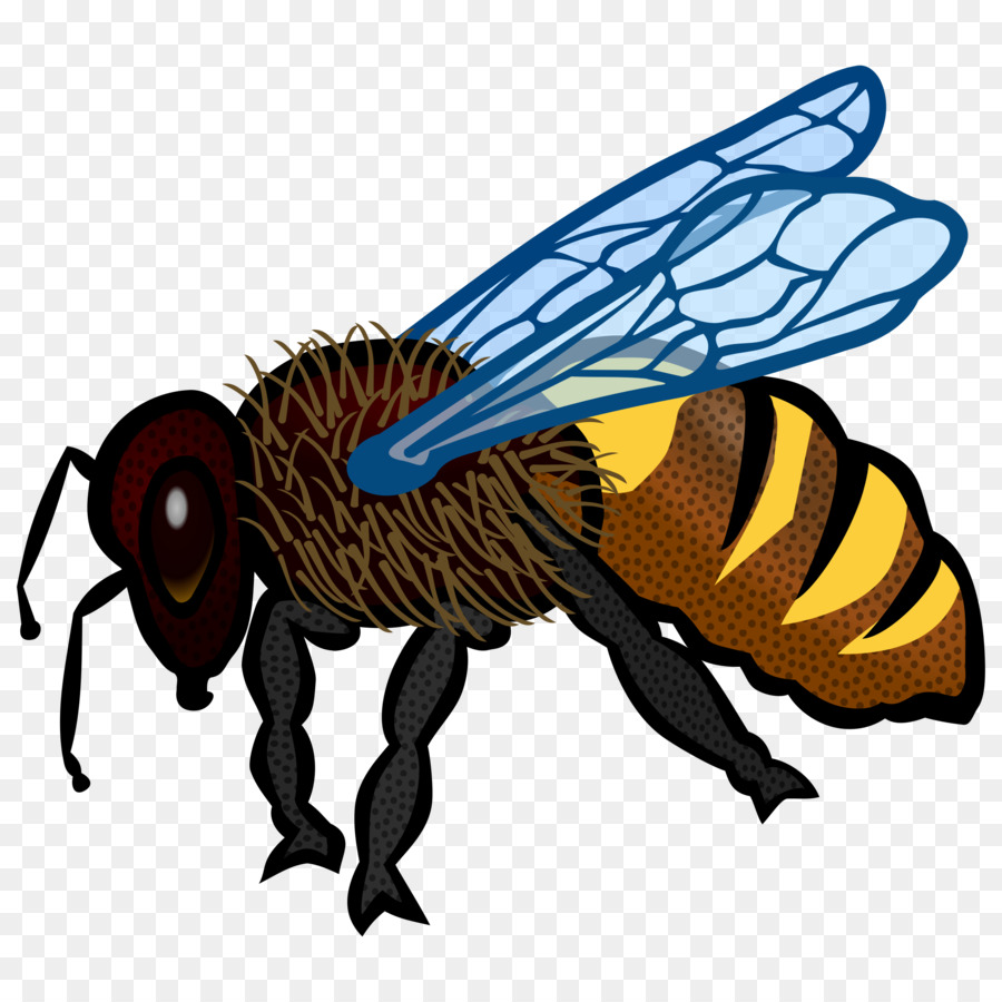Honey Bee Clip Art - Bienen