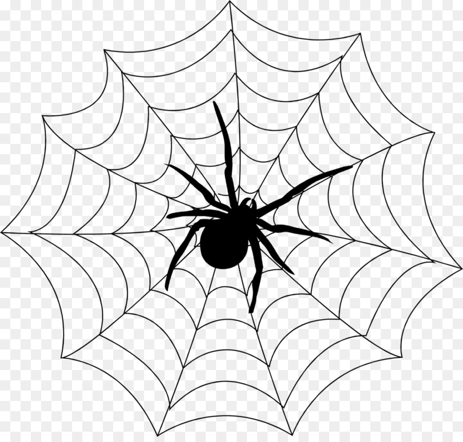 Spider-web-Spider monkey Spinneret Clip-art - Spinnennetz