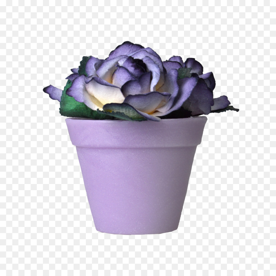 Schneiden Sie Blumen Lila Rose Violett - Blumentopf