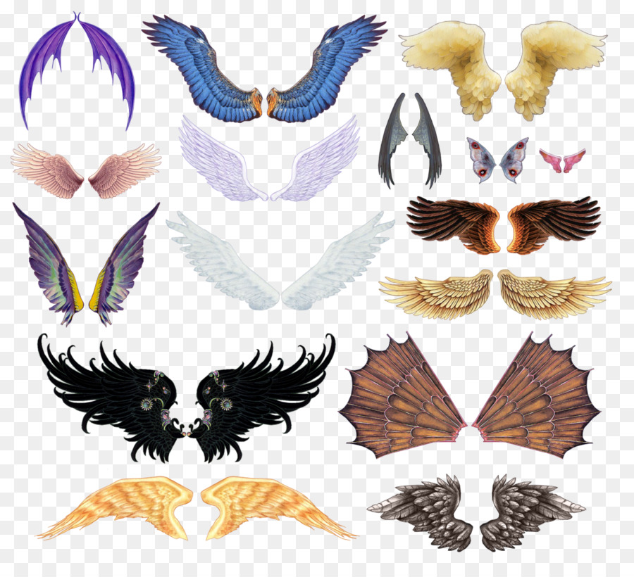 Die Explorer ' s Guide zum Zeichnen von Fantasy-Kreaturen Clip-art - Flügel