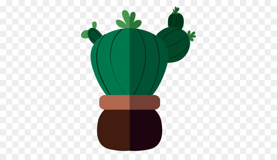 Cactaceae Parodia magnifica Disegno Clip art - acquerello cactus
