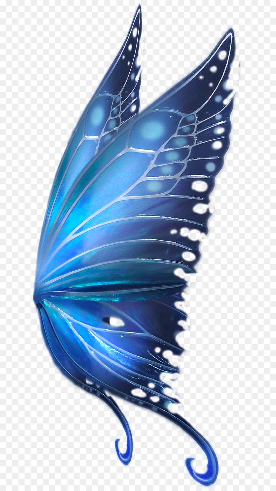 Bướm Vẽ Cổ Tích Con Chim - bướm màu xanh