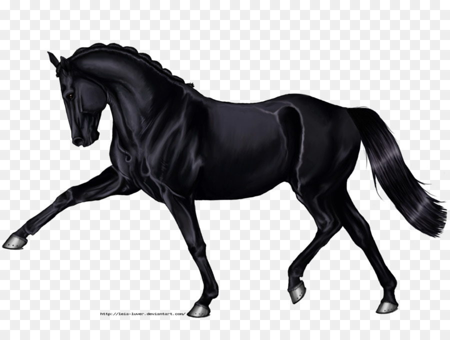 Hannoveraner Pferd Arabian horse Andalusian horse Schwarz Zeichnung - Pferd