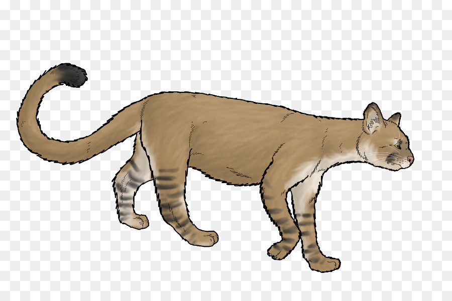 Lion Cartoon png download - 900*600 - Free Transparent Cougar png Download.  - CleanPNG / KissPNG