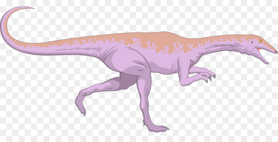Compsognathus Dinosaurier Velociraptor - Dinosaurier