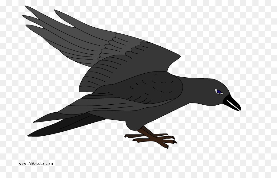 Vogel Zeichnung Clip art - Raven