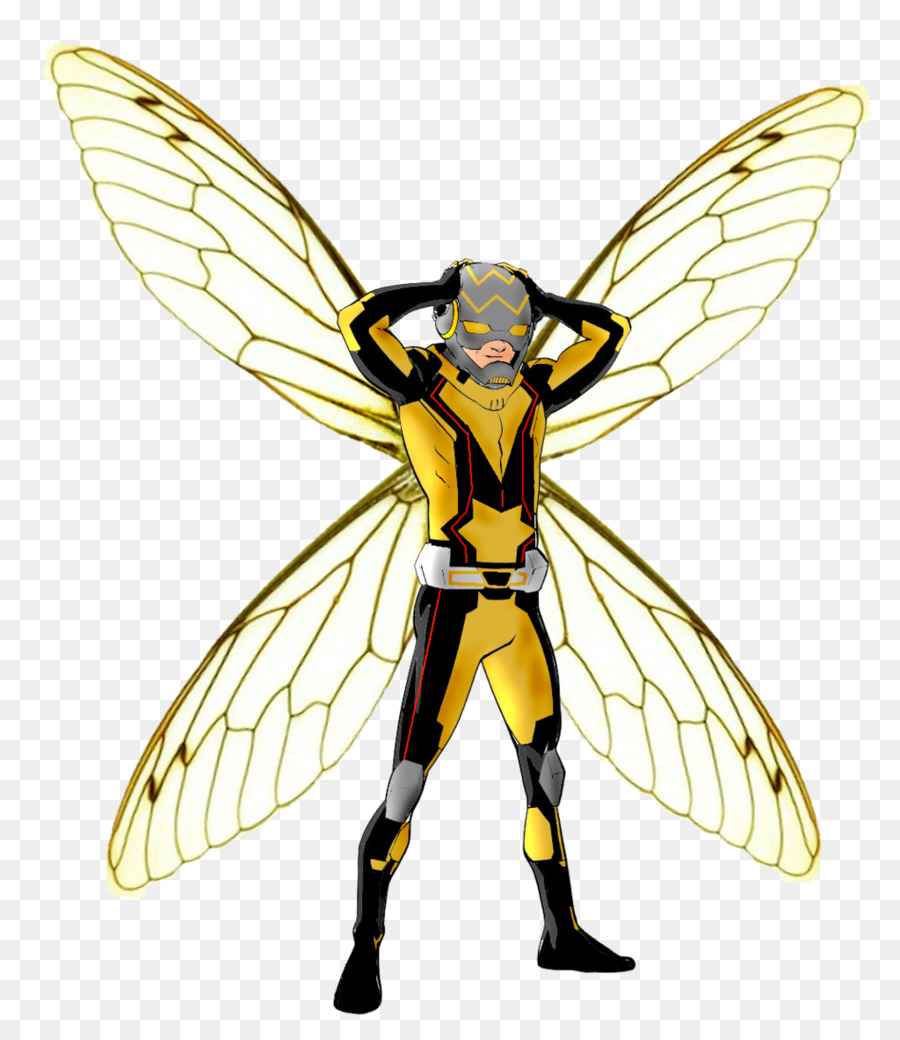 Wasp Hornet Côn Trùng Bee Megalara - ong vò vẻ